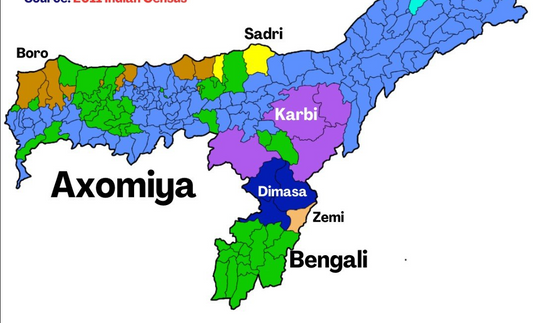 Assam Linguistic Maps